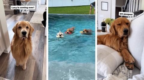 A Surprise Pool Party!
