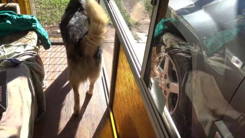 Stolen car update, neighbor got arrested