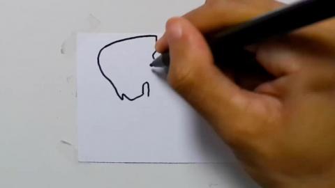 Drawing tatto v41 2024 shorts