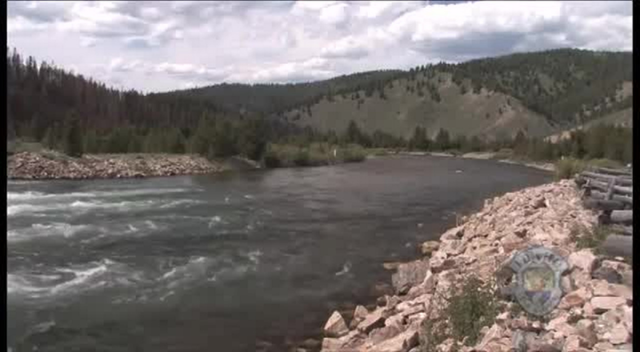Chinook Salmon return to Idaho's Sawtooth Hatchery Idaho Statesman
