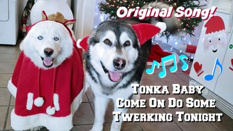 Try Not To Laugh | Tonka Baby Song | Original Lyrics 