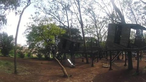 Monkey Business | Nandi Hills, Bengaluru