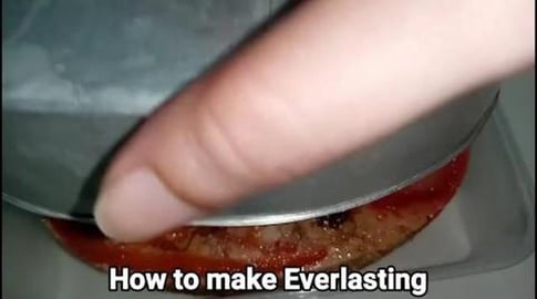 TBS109 _ EVERLASTING Recipe _ HARDINERA RECIPE