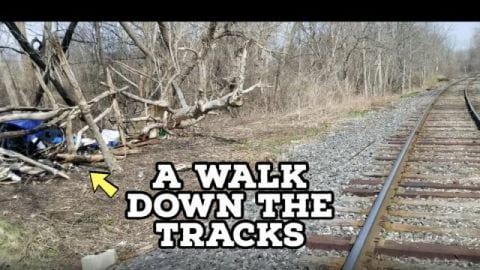 A Walk on The Tracks