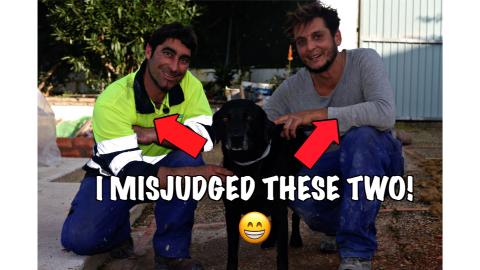 Percy The Labrador and the Builders