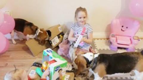 Our Cute Dogs and Children Surprised by Gifts from Our Fa...