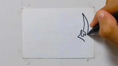 Drawing tatto v22 2024  shorts