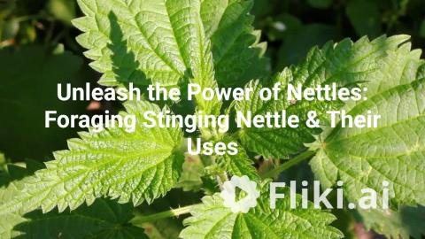 Unleash the Power of Stinging Nettles: Tips for Spring Fo...