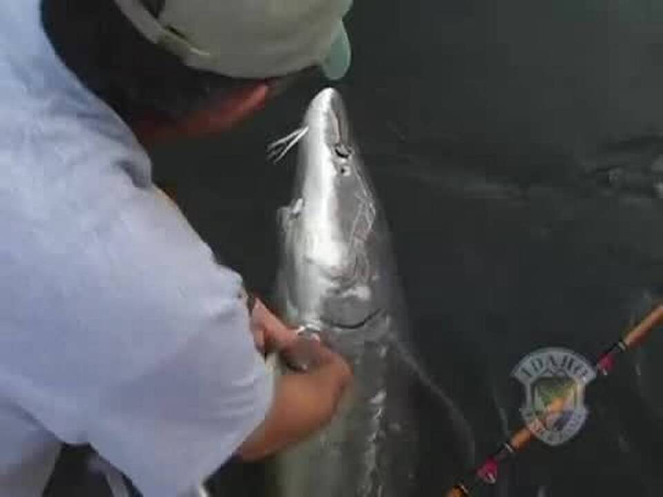 South Florida's freshwater fishing is unique