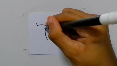 Drawing tatto v104 2024