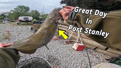 Havin a good day Catfish'n 