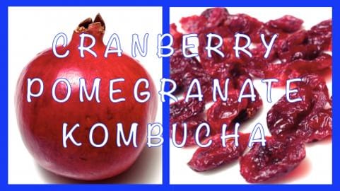 Homemade Pomegranate & Cranberry Kombucha / Healthy & Ref...