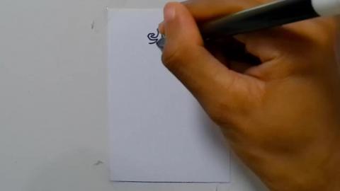 Drawing tatto v102 2024 shorts