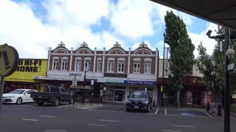 Husky's go for a walk in town to see the old buildings