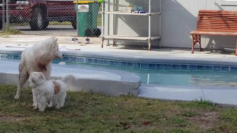 All My Rowdy Friends Compliation