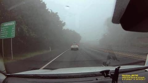 Fog, heavy rain and Aunt Clare's pigs ears for lunch