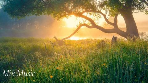 Serene Horizons | Relax & Uplift with Mix Music