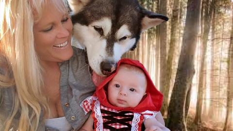Malamute Loves Baby Kahlia's Halloween Costume! Babies Fi...