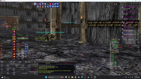 Everquest : Rite Master Kvimimn