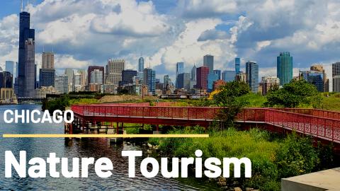 A Walk In The Park Along The River | Chicago Nature Touri...