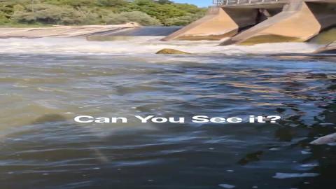 Can You See it_