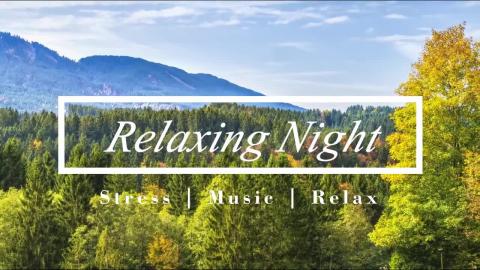 Relaxing Music for Stress Relief and Meditation Music for...