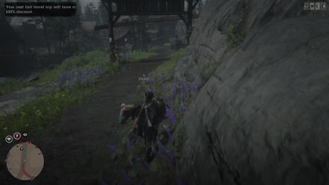 Red Dead Online Gameplay 0000