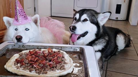Cooking Breakfast Pizza With My Dogs