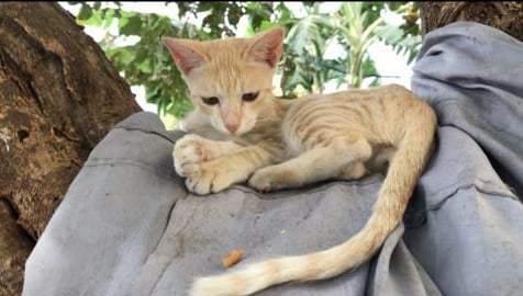 LOVELY MOVEMENTS OF GIFY & TEDY !!