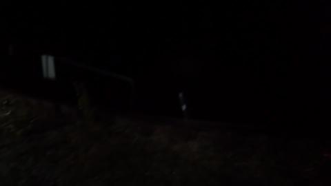 night fishing 29