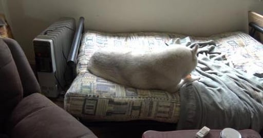 Lots of noise, crunching of pigs ears and weak, weak, wea...