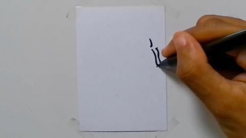 Drawing tatto v116 2024 shorts