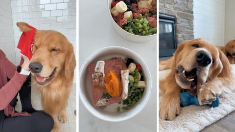 My Puppy Self Care Routine