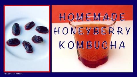 Honeyberry Kombucha / Haskap Berries, Blue Honeysuckle, ...