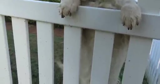 Enjoyable day with friends