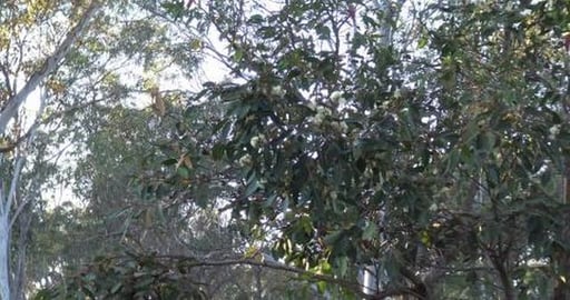 It's a little frosty. Perfect for energetic huskies.