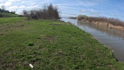 Nature Is Life 4