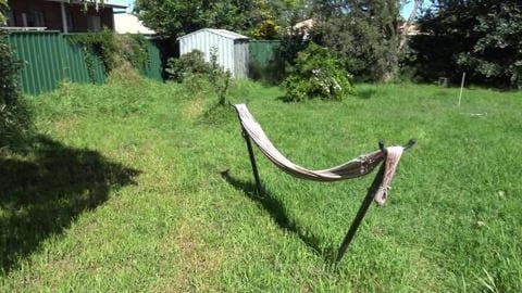 Baby magpie sings its heart out