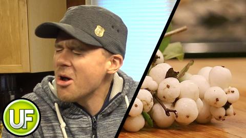 Unusual Foods - Snowberry