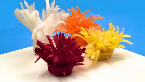 How to Make Underwater Plants with Carrots, Daikon & Beet...