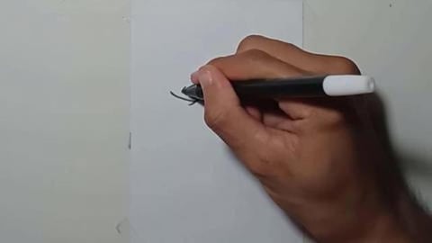 Drawing Graffity Character bear money bat shorts