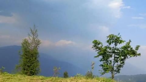 Tea Gardens | Sikkim