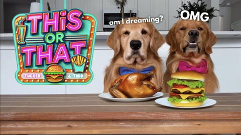 My Dogs Choose Their Own Food | This or That