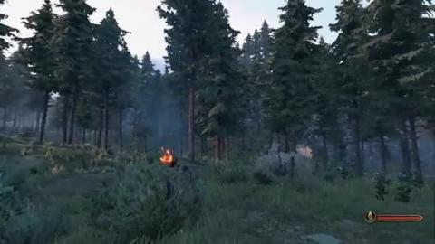 they spent 5 hours making a 36 second clip in Bannerlord