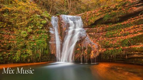 Forest Water Streams | Relax & Uplift with Mix Music