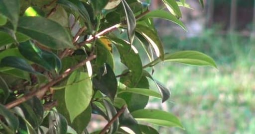 Husky has a cold but doesn't stop us visiting boyfriend