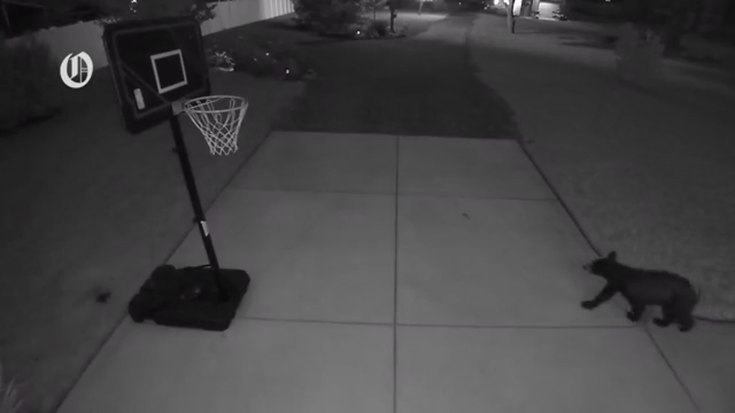 Charlotte Observer Spots a Danger No Local News Dare Mention