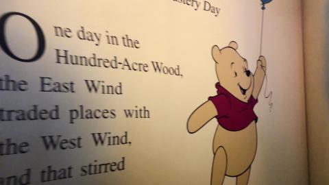 Magic Kingdom - The Many Adventures of Winnie the Pooh - ...