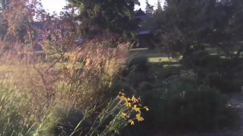 Walking in the Imaginary Garden at the Experimental Farm ...