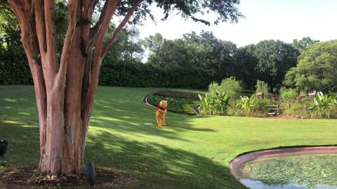 Epcot - Winnie the Pooh at Epcot on 7/31/2020 - COVID-19 ...